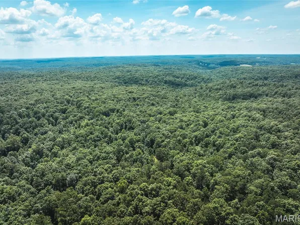 0 Highway B #60, Ellington, MO 63638