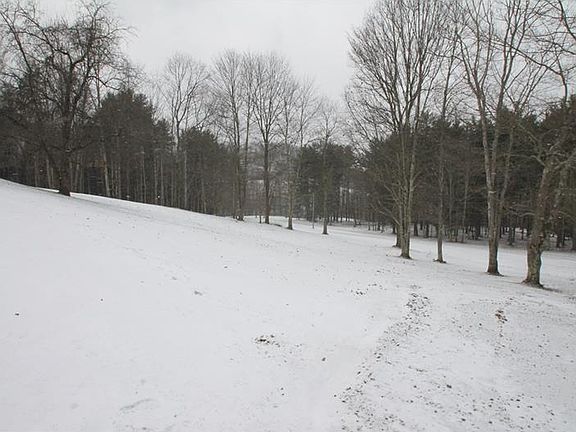 5th image of 136 Colt Ln