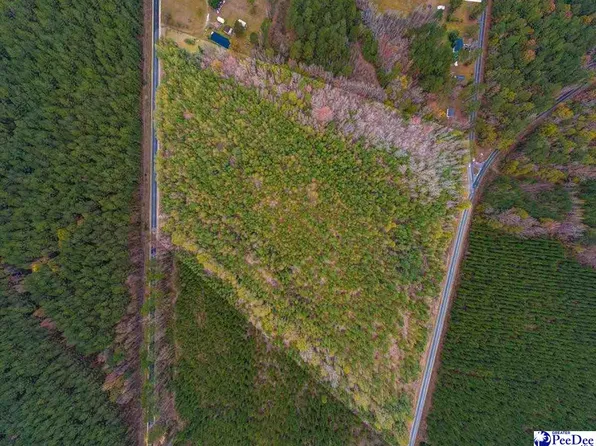 Salem Rd Tract 2, Bennettsville, SC 29512