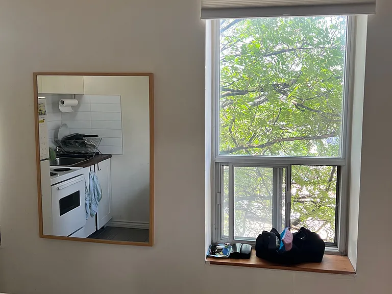 225 Gladstone Ave — Photo 59