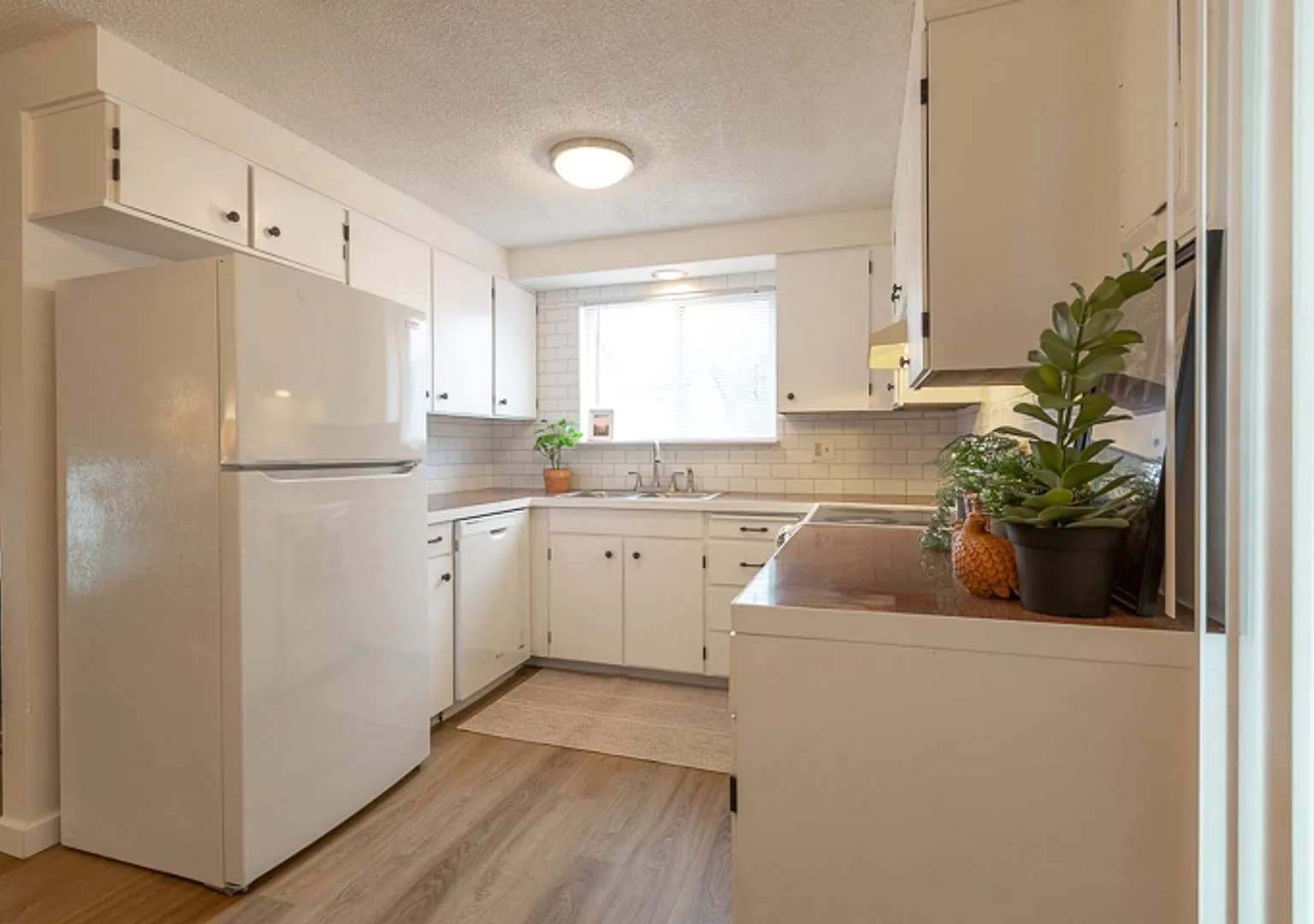 Olive Park Avenue Apartments — Photo 4