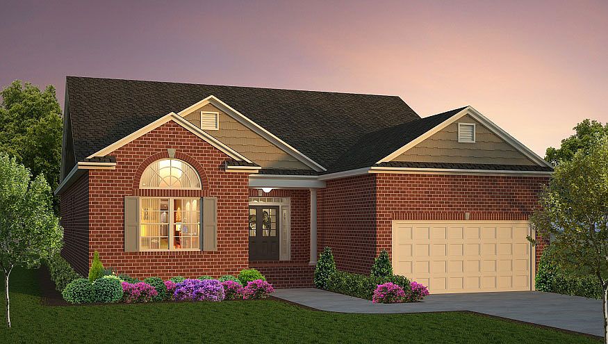Elevation Image 1.