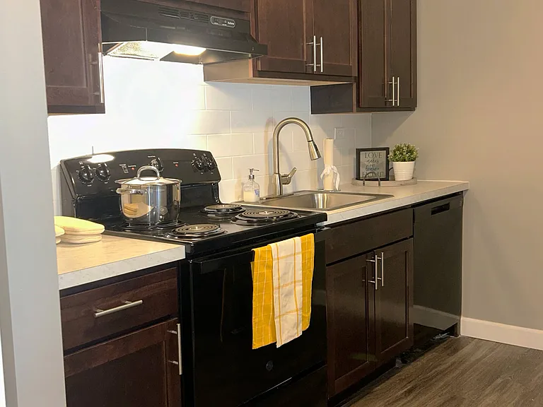 Iris Renovated Kitchen Model