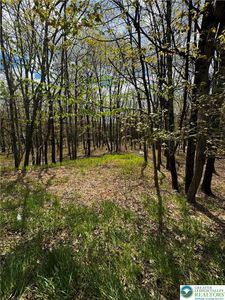 N Rocky Mountain Dr, Effort, PA, 18330