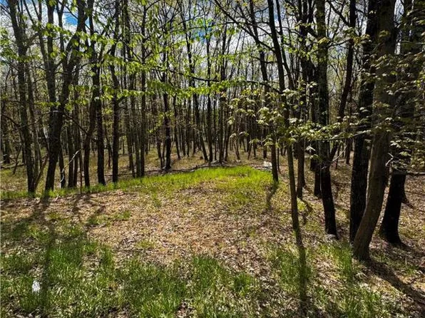 N Rocky Mountain Dr, Effort, PA 18330