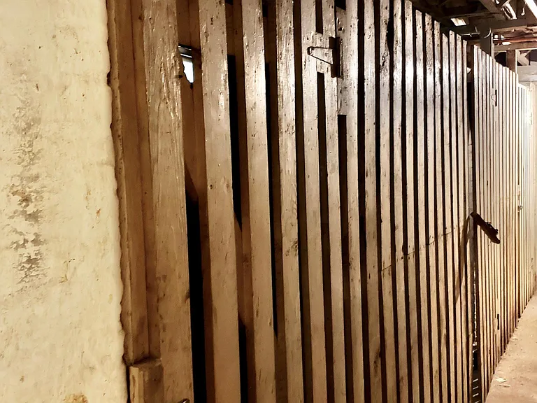 Basement Storage