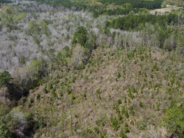 0 Otho Seals Rd, Lumberton, MS 39455