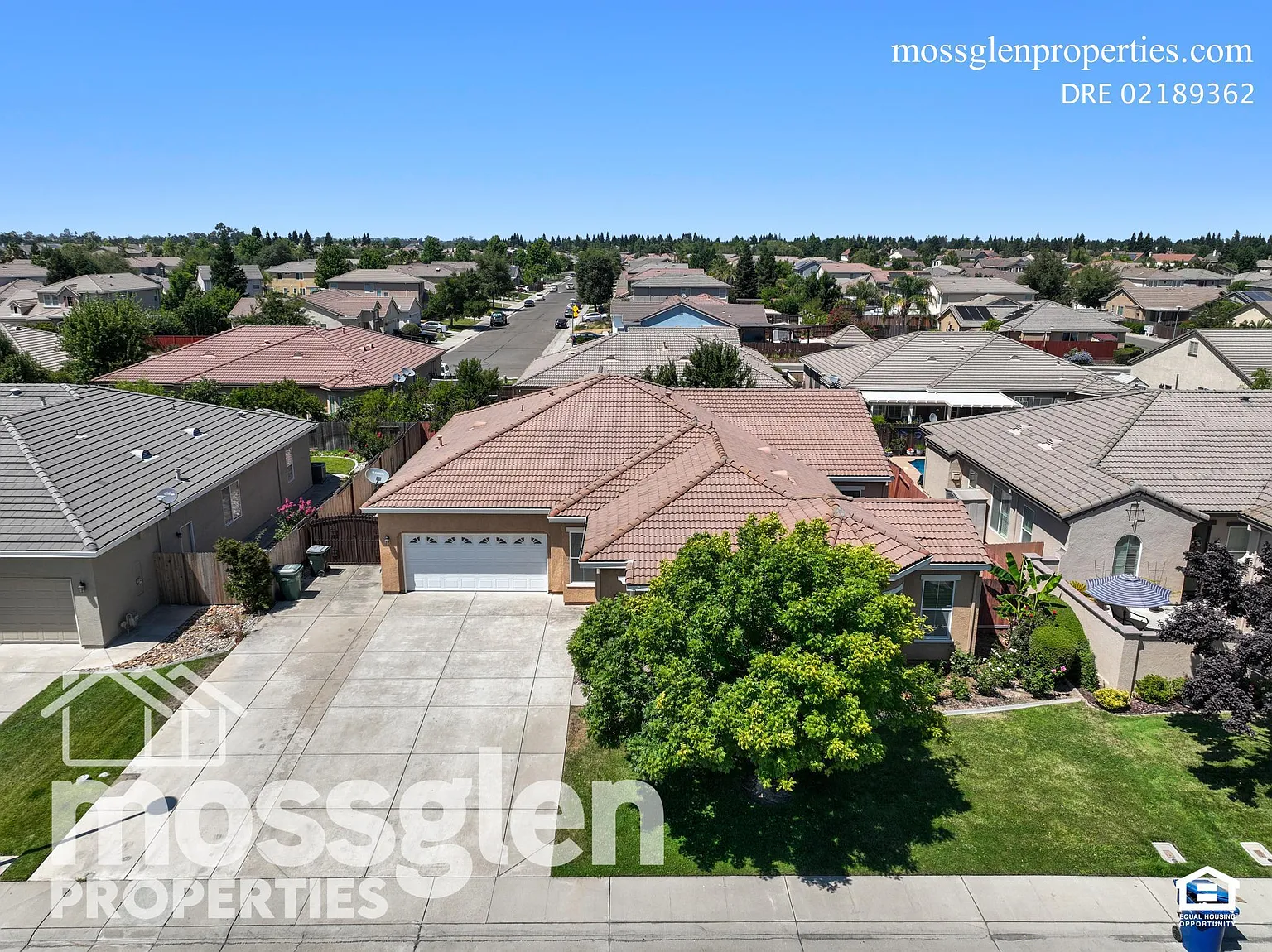 9921 Diamonte Way #9921 photo 1