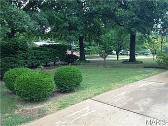 5th image of 565 Lodge Dr