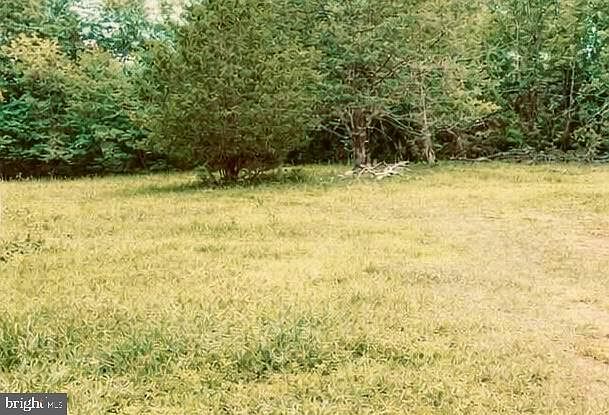 2nd image of 98 Pete McCoy Ln