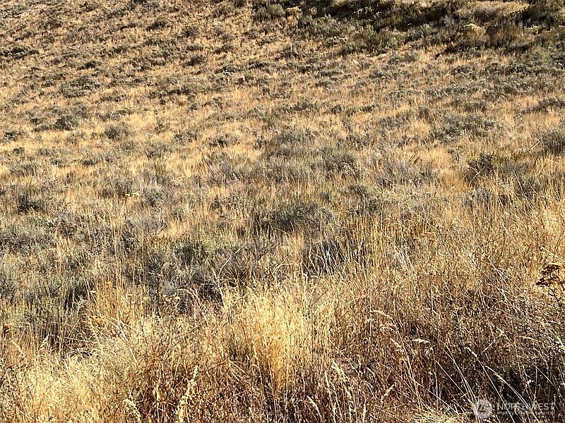 5th image of 0 NNA Mountain Spring Road