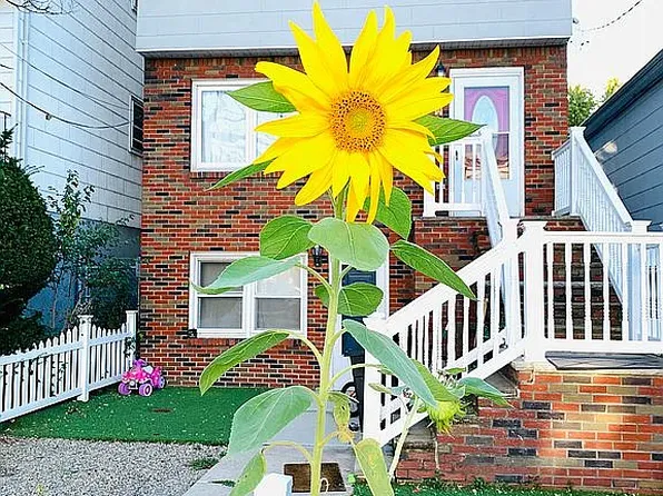 12 Waldo Ave, Jersey City, NJ 07306