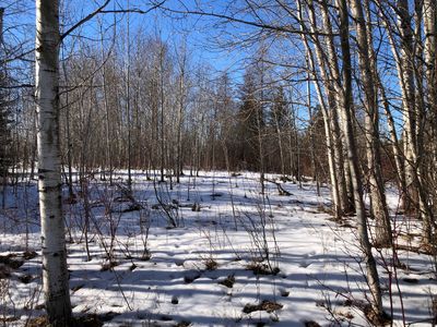 12114 Butler Rd, Cheboygan, MI, 49721