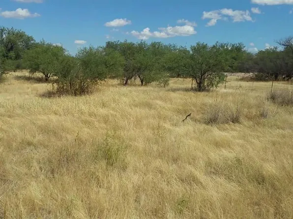 1475 W Falcon Way, Amado, AZ 85645