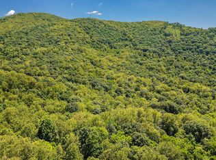 0 Murray Hollow Rd, Thaxton, VA 24174