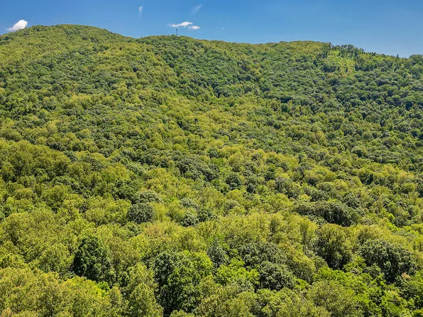 0 Murray Hollow Rd, Thaxton, VA 24174