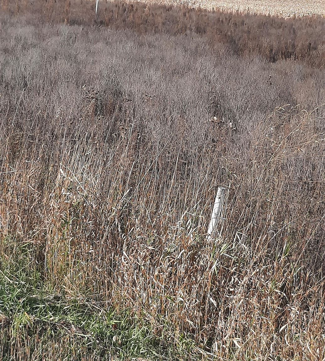 E7434 Doud Rd, Manawa, WI 54949 MLS 50283792 Zillow