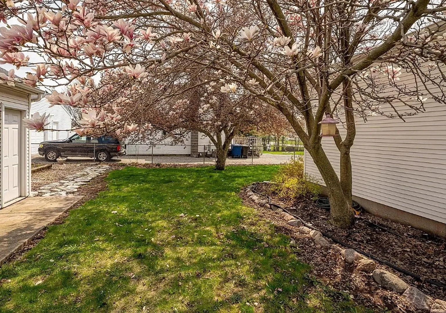 520 Dove Street — Photo 2
