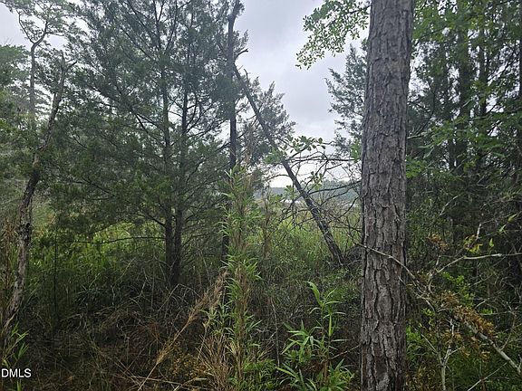 3rd image of 488 Bay Shores Rd Lot 18