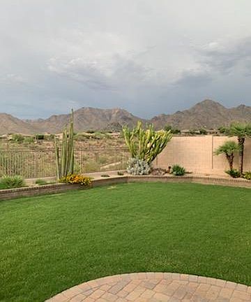 Large backyard