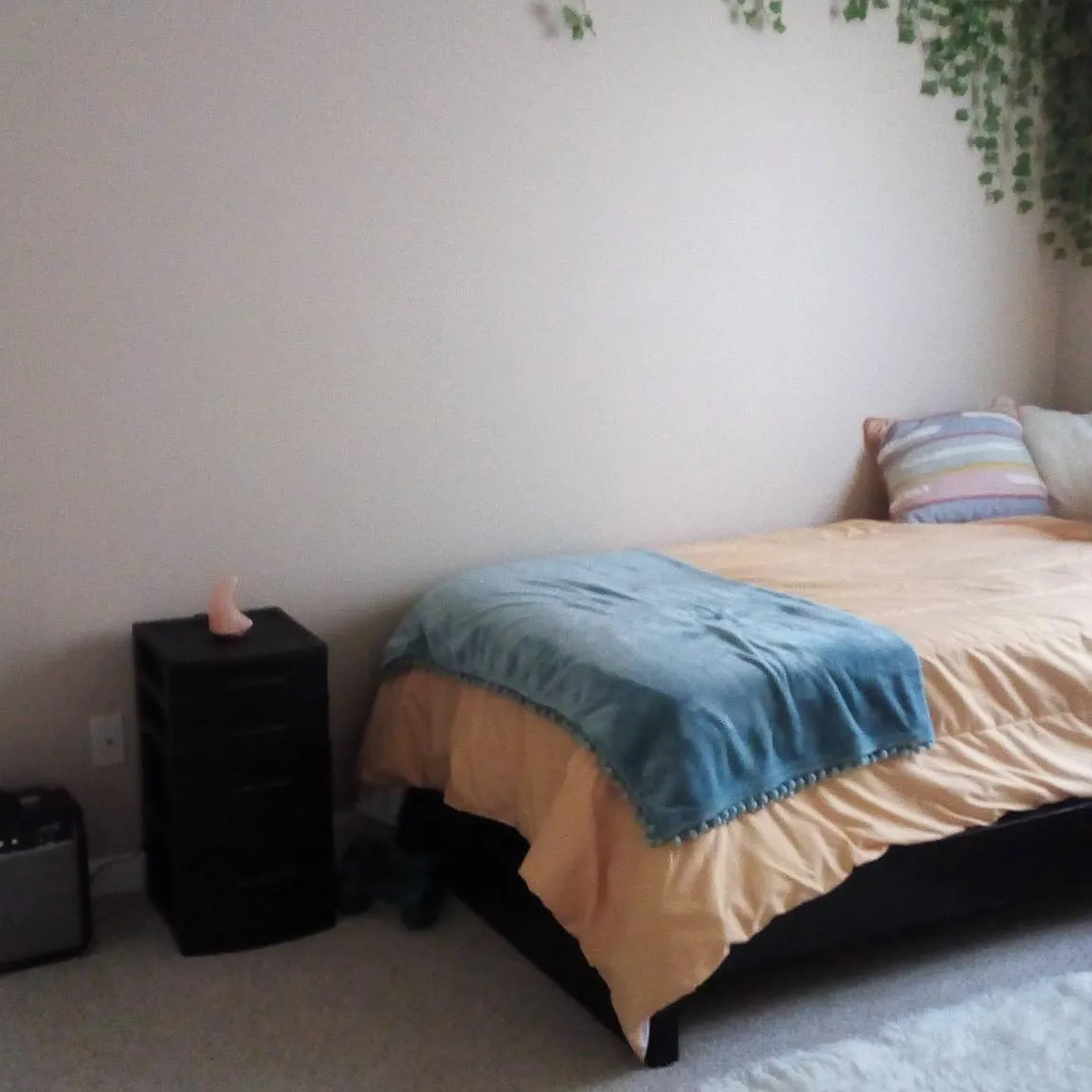 4 bed, 2.5 bath, 1500 sqft, $650 — Photo 2