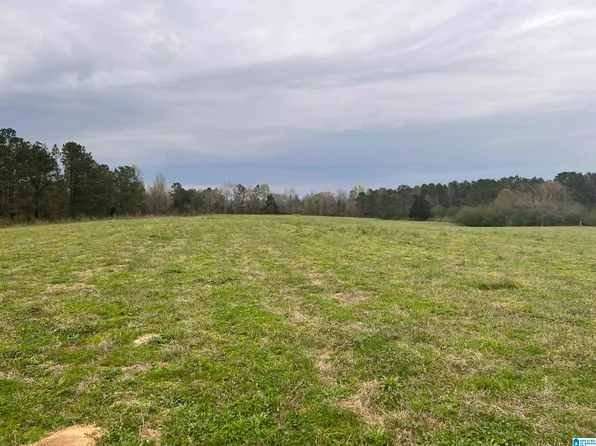 0 County Road 16 #B, Maplesville, AL 36750