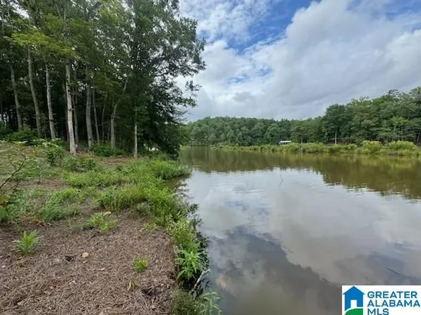 LOT 9 County Road 499 Lot 8, Woodland, AL 36280