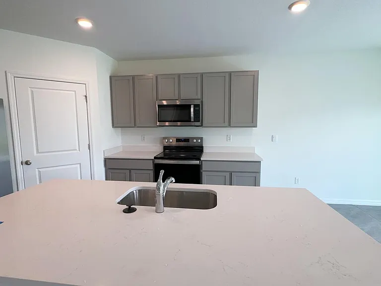 33439 Darley Dale Trl — Photo 7
