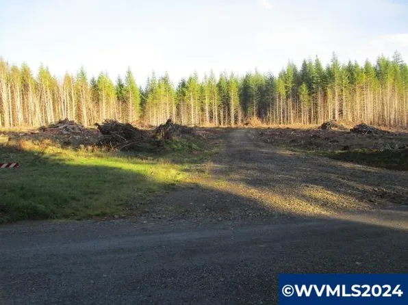 0 McDonald Rd, Vernonia, OR 97064