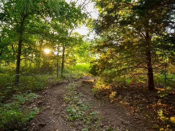 11215 S 2425th Rd, Dunnegan, MO 65640