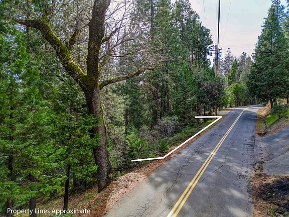 5th image of 593 Avery Sheep Ranch Rd