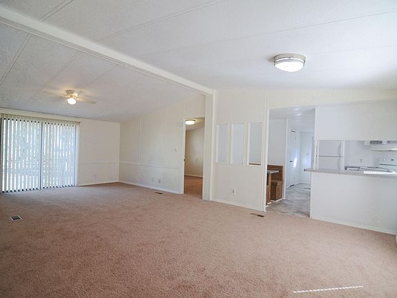 Living Room - Lots of Natural Light