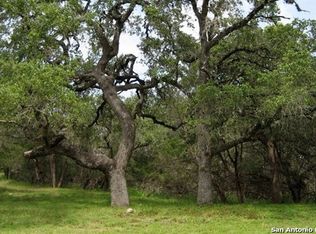 194 Red Tail Cv, Spring Branch, TX 78070