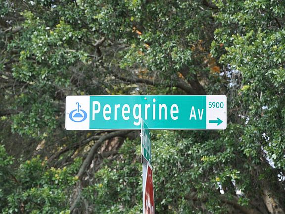 5th image of 5775 Peregrine Ave