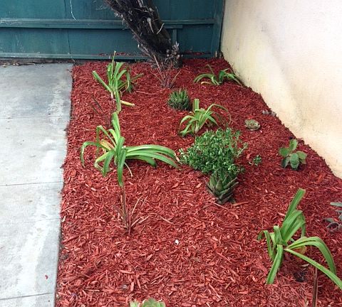 2nd image of 1557 W 145th St