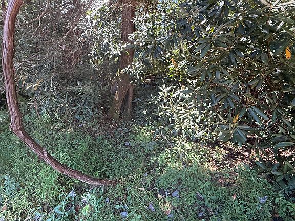 3rd image of 324 Jerrry's Branch Rd