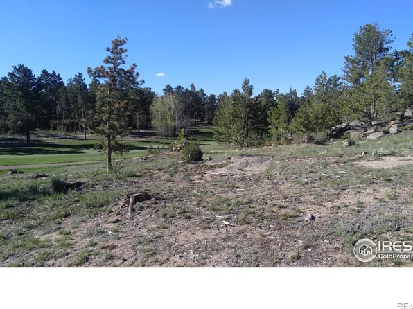 3031 Lake Arapahoe Ct, Red Feather Lakes, CO 80545