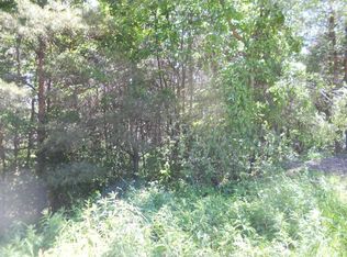 15512 Wild Life Rd, Wolverine, MI 49799