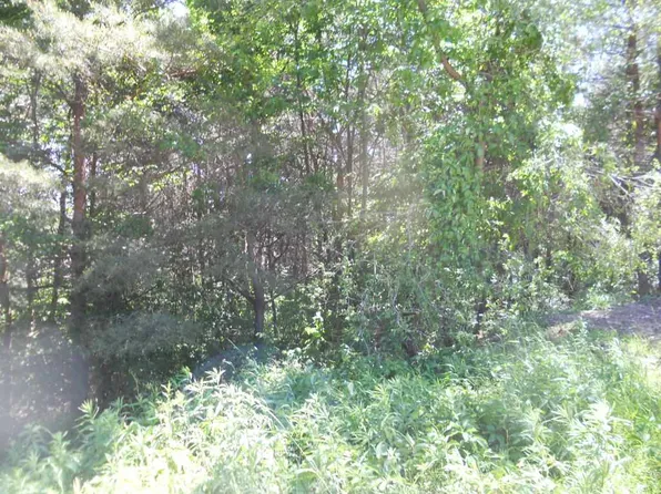 15512 Wild Life Rd, Wolverine, MI 49799