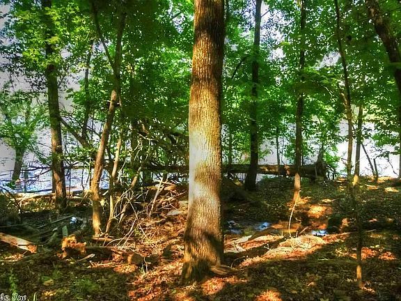 5th image of LOT 19 Lewis Lakeside Acres Lot 19-20