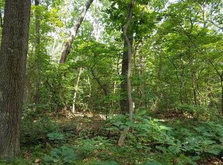 3162 62nd St, Saugatuck, MI