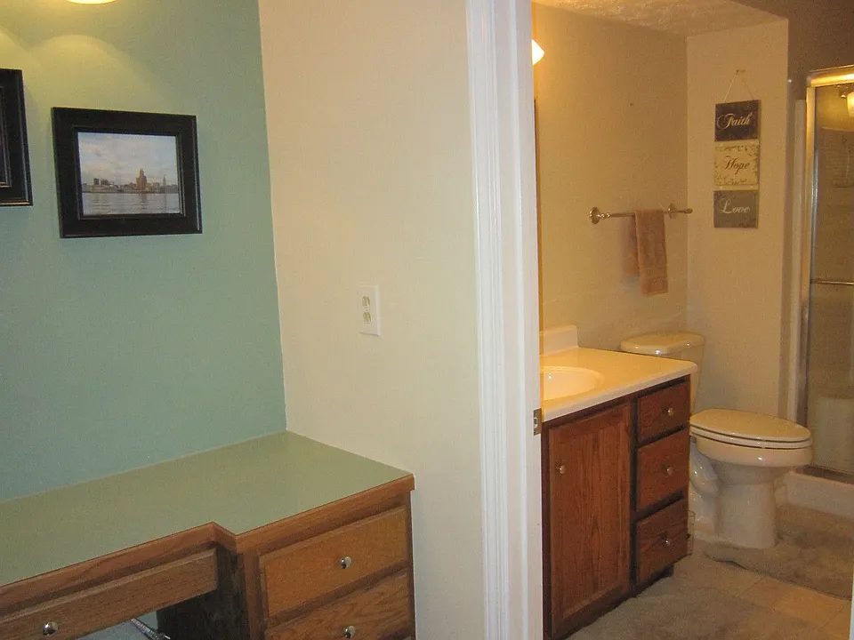 Master bath and vanity