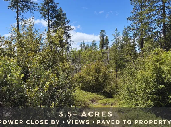 11837 Worden Rd, Mountain Ranch, CA 95246