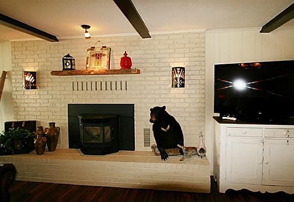 5th image of 912 Kiowa Dr E