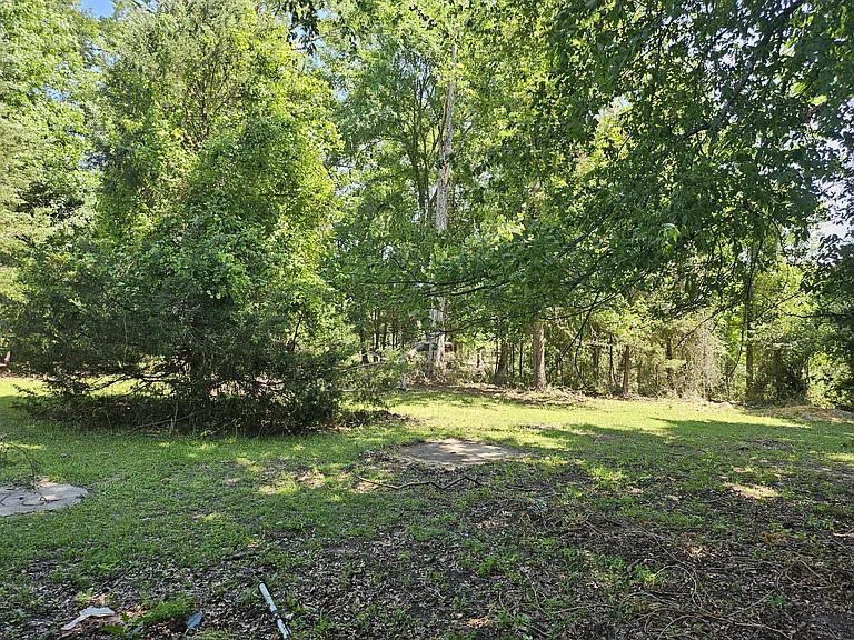 308 Chance Dale Rd — Photo 10
