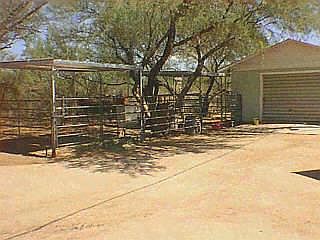 4th image of 7730 N Becky Jo Ln