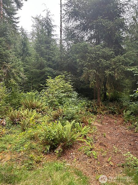 2nd image of 99 Highway 101