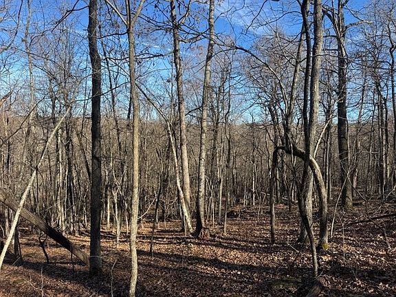 5th image of 1 Plumlee Rd