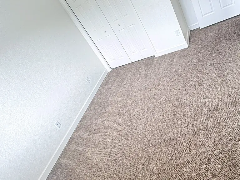 1125 Evergreen Ct — Photo 8