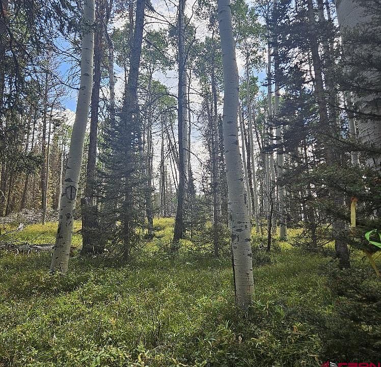 1st image of 155 Aspen Trail